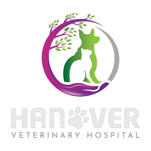 Hanover Veterinary Hospital